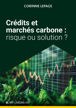 crédits et marchés carbone :  risque ou solution ?