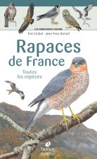 Les miniguides nature - Rapaces