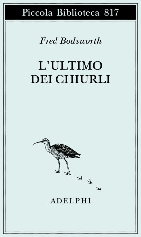 ultimo dei chiurli
