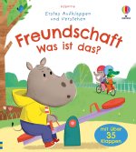 Erstes Aufklappen und Verstehen: Freundschaft - Was ist das?