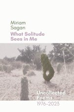 What Solitude Sees in Me