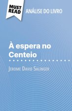 ? espera no Centeio de Jerome David Salinger (Análise do livro)