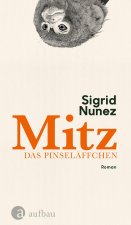 Mitz, das Pinseläffchen
