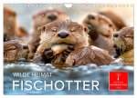 Wilde Heimat - Fischotter (Wandkalender 2026 DIN A4 quer), CALVENDO Monatskalender
