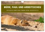 Müde, faul und arbeitsscheu (Wandkalender 2026 DIN A4 quer), CALVENDO Monatskalender