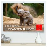 Elefanten Kinder - kleine Riesen (hochwertiger Premium Wandkalender 2026 DIN A2 quer), Kunstdruck in Hochglanz