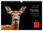 Wilde Heimat - Tiere unserer Natur (Wandkalender 2026 DIN A4 quer), CALVENDO Monatskalender