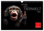 Magie der Tierwelt (Wandkalender 2026 DIN A4 quer), CALVENDO Monatskalender