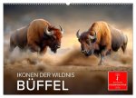 Büffel - Ikonen der Wildnis (Wandkalender 2026 DIN A2 quer), CALVENDO Monatskalender