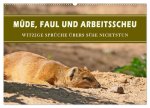 Müde, faul und arbeitsscheu (Wandkalender 2026 DIN A2 quer), CALVENDO Monatskalender