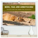 Müde, faul und arbeitsscheu (hochwertiger Premium Wandkalender 2026 DIN A2 quer), Kunstdruck in Hochglanz