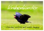 Krähenkinder - Schwarz, niedlich und immer hungrig (Wandkalender 2026 DIN A2 quer), CALVENDO Monatskalender