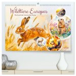 Wildtiere Europas - Farbwelt der heimischen Fauna (hochwertiger Premium Wandkalender 2026 DIN A2 quer), Kunstdruck in Hochglanz