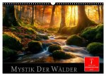 Mystik der Wälder (Wandkalender 2026 DIN A3 quer), CALVENDO Monatskalender