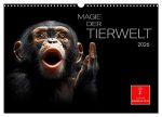 Magie der Tierwelt (Wandkalender 2026 DIN A3 quer), CALVENDO Monatskalender