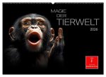Magie der Tierwelt (Wandkalender 2026 DIN A2 quer), CALVENDO Monatskalender