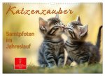 Katzenzauber - Samtpfoten im Jahreslauf (Wandkalender 2026 DIN A3 quer), CALVENDO Monatskalender