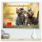 Katzenzauber - Samtpfoten im Jahreslauf (hochwertiger Premium Wandkalender 2026 DIN A2 quer), Kunstdruck in Hochglanz