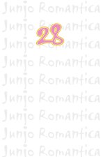 Junjo Romantica 28