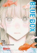 Blue Box 17