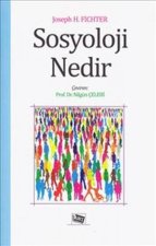 Sosyoloji Nedir