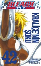 Bleach 42 Cilt