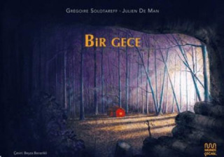 Bir Gece