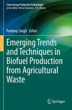 Emerging Trends and Techniques in Biofuel Production from Agricultural Waste