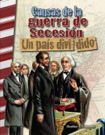 Causas de la Guerra de Secesión