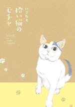 Mocha the Cat and His Forever Family Vol. 1