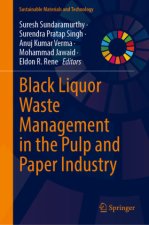 Black Liquor Waste Management in the Pulp and Paper Industry