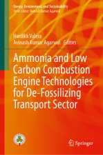 Ammonia and Low Carbon Combustion Engine Technologies for De-Fossilizing Transport Sector