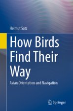 How Birds Find Their Way