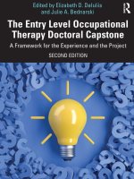 Entry Level Occupational Therapy Doctoral Capstone