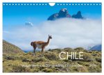 Magie dieses Südamerikanischen Landes, Chile (Wandkalender 2026 DIN A4 quer), CALVENDO Monatskalender