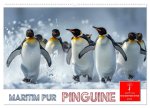 Maritim pur - Pinguine (Wandkalender 2026 DIN A2 quer), CALVENDO Monatskalender