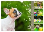 Kleine Helden - Französische Bulldoggen (Wandkalender 2026 DIN A4 quer), CALVENDO Monatskalender