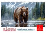 Bären - gefährlich nett (Wandkalender 2026 DIN A4 quer), CALVENDO Monatskalender