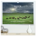 Sioux Im Lande von Sitting Bull (hochwertiger Premium Wandkalender 2026 DIN A2 quer), Kunstdruck in Hochglanz