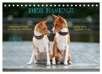 Der Basenji (Tischkalender 2026 DIN A5 quer), CALVENDO Monatskalender