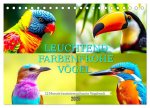 Leuchtend farbenfrohe Vögel (Tischkalender 2026 DIN A5 quer), CALVENDO Monatskalender