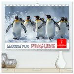Maritim pur - Pinguine (hochwertiger Premium Wandkalender 2026 DIN A2 quer), Kunstdruck in Hochglanz