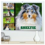 Sheltie - Ein Stück vom Glück (hochwertiger Premium Wandkalender 2026 DIN A2 quer), Kunstdruck in Hochglanz