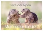 Tiere der Alpen - Murmeltier-Kinder (Wandkalender 2026 DIN A2 quer), CALVENDO Monatskalender