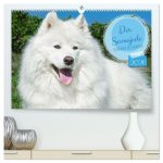 Der Samojede - Schönheit des Nordens (hochwertiger Premium Wandkalender 2026 DIN A2 quer), Kunstdruck in Hochglanz
