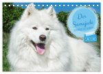 Der Samojede - Schönheit des Nordens (Tischkalender 2026 DIN A5 quer), CALVENDO Monatskalender
