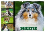 Sheltie - Ein Stück vom Glück (Wandkalender 2026 DIN A3 quer), CALVENDO Monatskalender