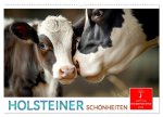 Holsteiner Schönheiten (Wandkalender 2026 DIN A2 quer), CALVENDO Monatskalender