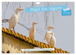 Vögel der Algarve (Wandkalender 2026 DIN A4 quer), CALVENDO Monatskalender