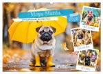 Mops-Mania - Der Spaßkalender für Mops-Fans (Wandkalender 2026 DIN A2 quer), CALVENDO Monatskalender